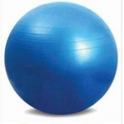 Gym Ball (0)